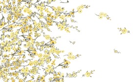 手绘花 小花