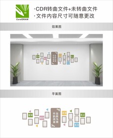 幼儿园照片文化墙