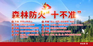 森林防火十不准