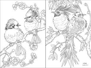 花鸟图 