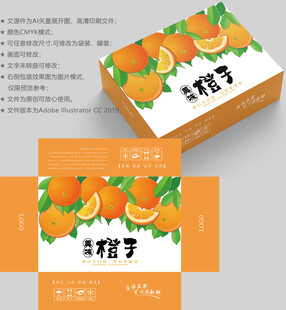 橙子包装 水果盒子