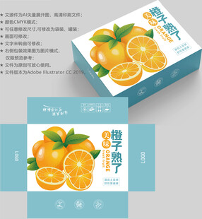 橙子包装 水果盒子