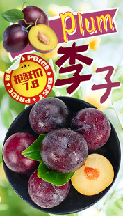李子