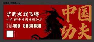 中国功夫海报