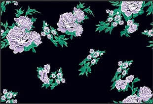 黑底玫瑰花