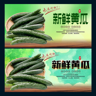 黄瓜