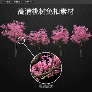 免扣桃树