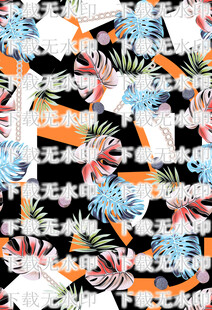 大牌龟背竹