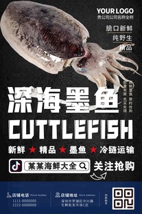 墨鱼