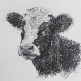 手绘30牛装饰画