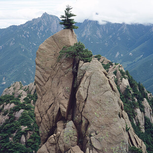 松树山峰奇石