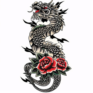 手绘双龙插画