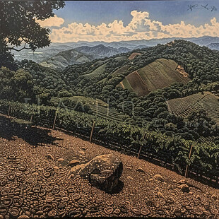 法国葡萄园版画