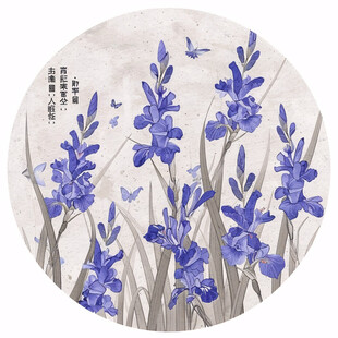 蝶豆花插画