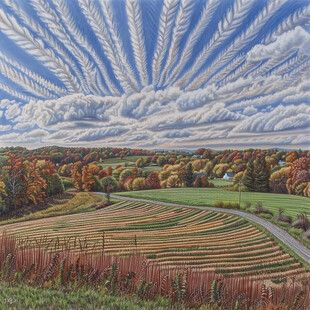 巨幅田野田园风光