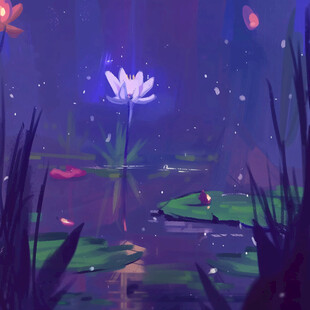 睡莲插画