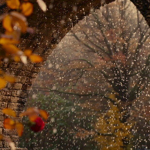 城墙秋雪