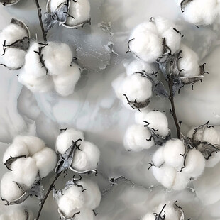 棉花艺术品