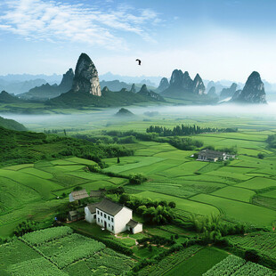 梦幻中国美田园风景
