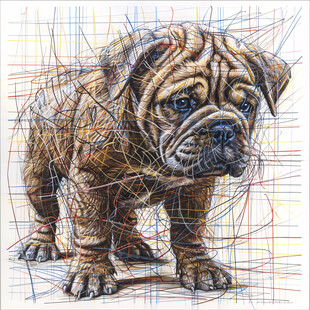 线描英斗 萌力十足