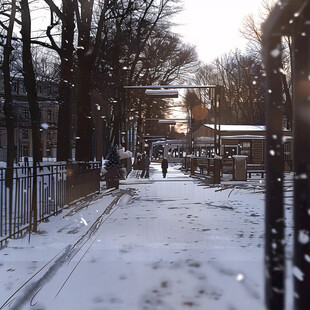 冬日雪景 静谧美好