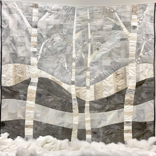 冬日白桦林的静谧