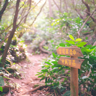 山间小路 指引方向