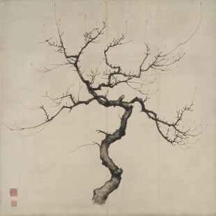 枯木寒枝 岁寒知松柏