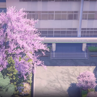 樱花校园 青春洋溢