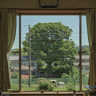 窗外绿意 夏日午后