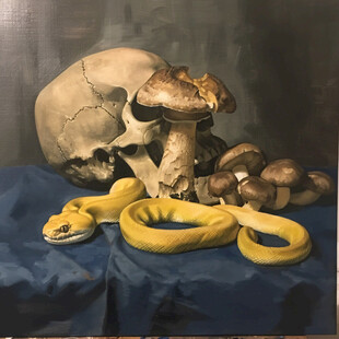静物 蛇 头骨与蘑菇