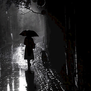 雨夜 一人一狗 同行