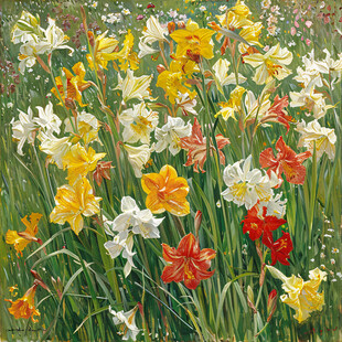 春光烂漫 百花争艳