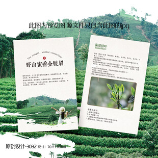 金骏眉红茶茶叶介绍卡片