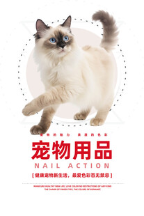宠物
