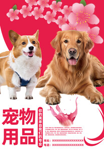 宠物