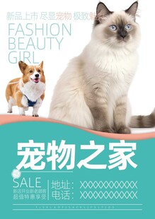 宠物