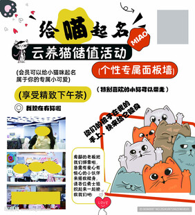 猫舍广告