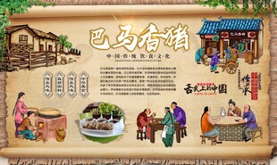 巴马香猪