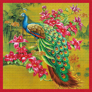 方巾定位孔雀
