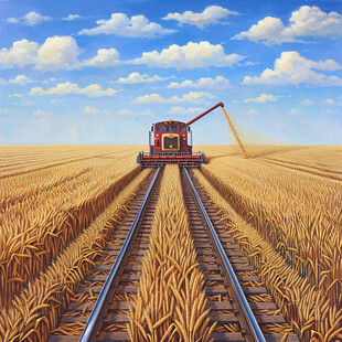 麦田里的火车