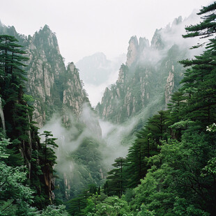 雨后三清山