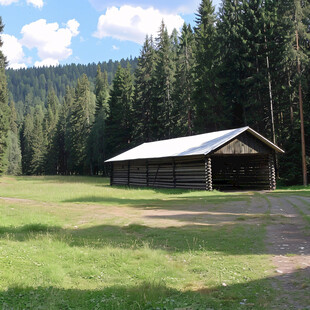 森林小屋高山草场