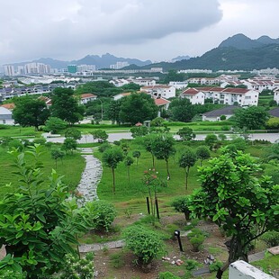 花园小区楼顶风景