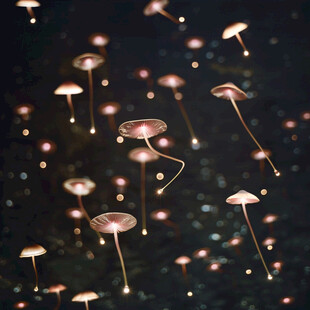 梦幻蘑菇背景