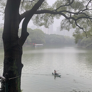 黔灵湖畔