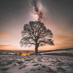 银河下孤树雪景