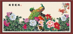 孔雀牡丹图