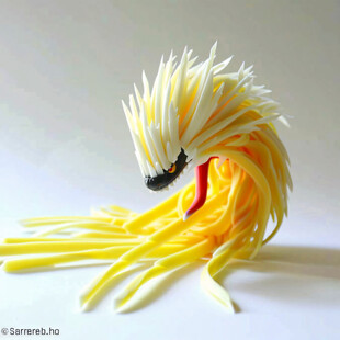 用意面做的神奇宝贝