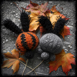 秋叶下的毛绒小兔子